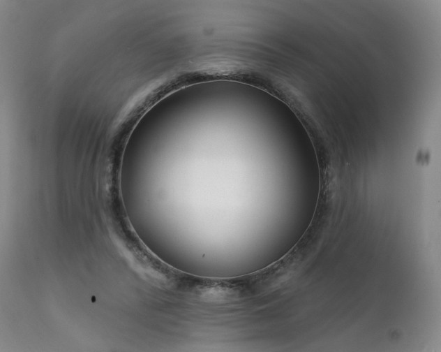 X0000111510400200907141341