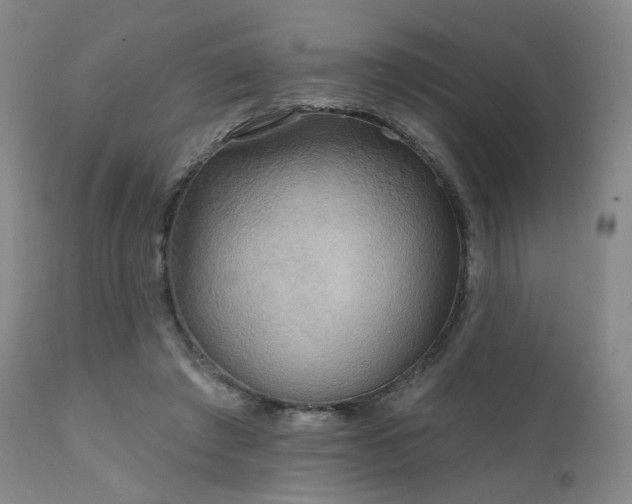 X0000111510401200907141341
