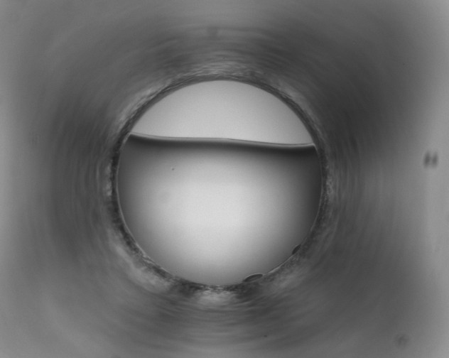 X0000111510403200907141341