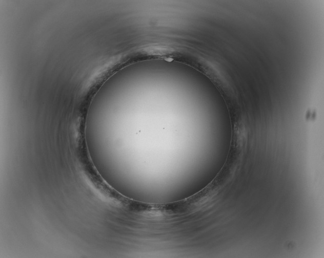 X0000111510404200907141341