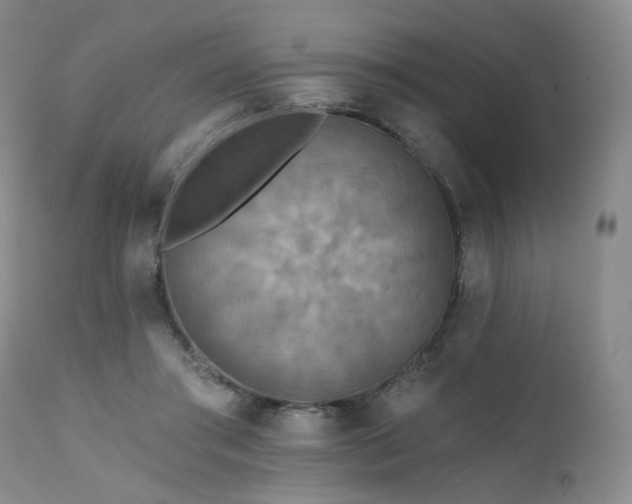 X0000111510405200907141341
