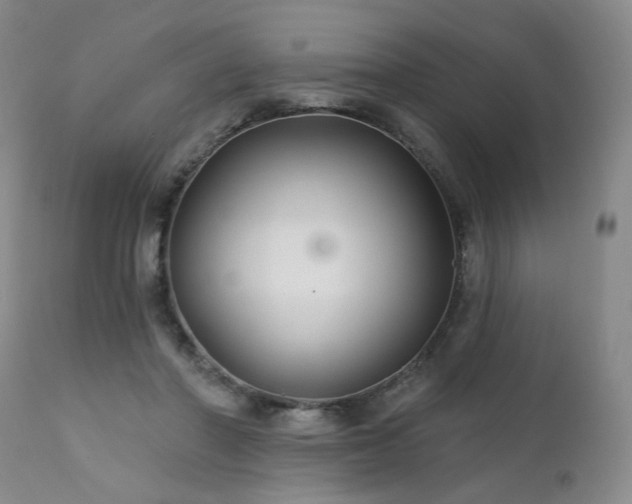 X0000111510406200907141341
