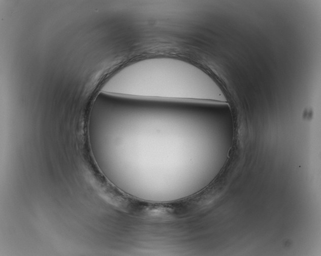 X0000111510407200907141341
