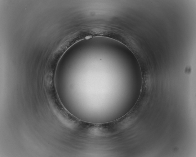 X0000111510408200907141341