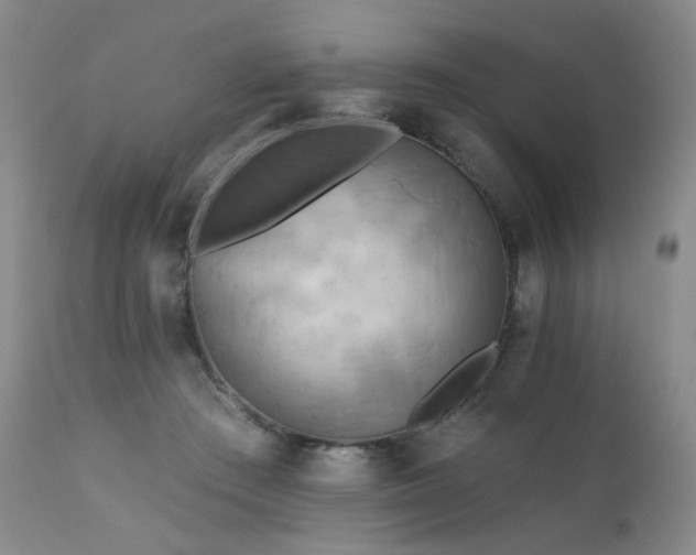 X0000111510409200907141341