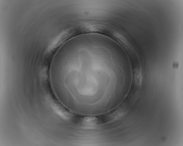 X0000111510410200907141341