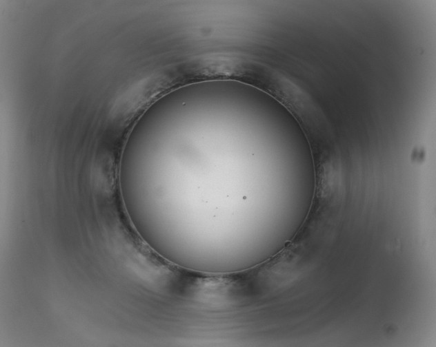 X0000111510414200907141341