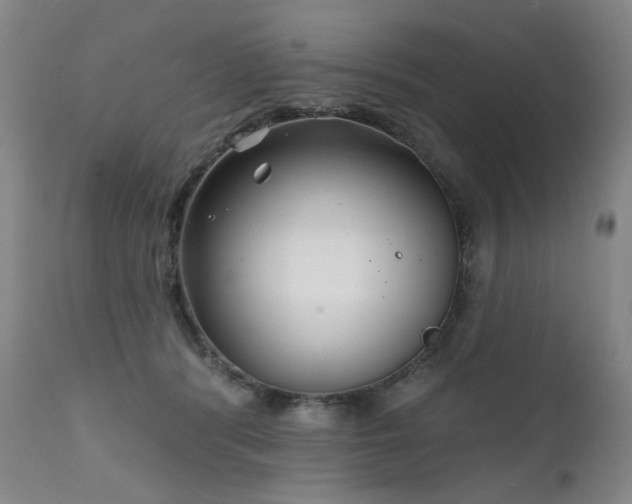 X0000111510416200907141341