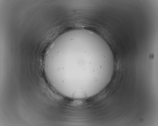 X0000111510418200907141341