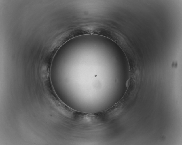 X0000111510420200907141341
