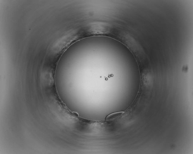 X0000111510422200907141341