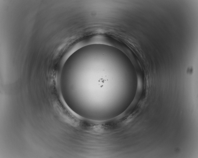 X0000111510423200907141341