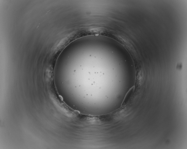 X0000111510424200907141340