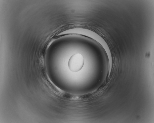 X0000111510425200907141340