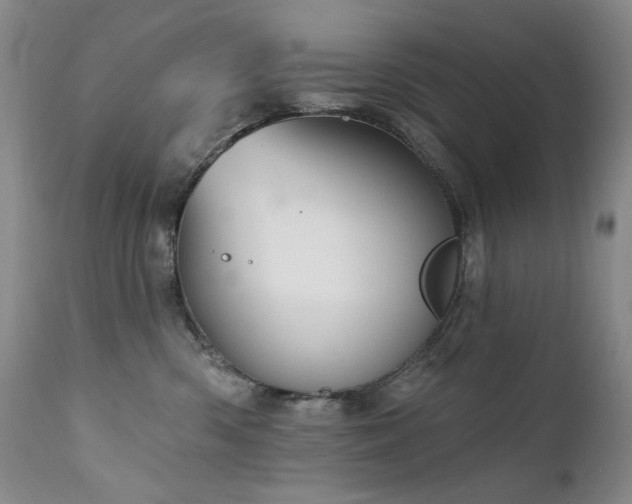 X0000111510426200907141340