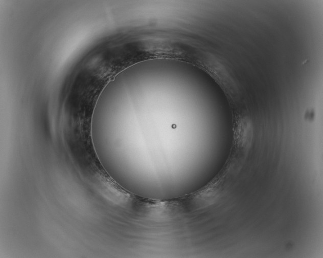 X0000111510430200907141340