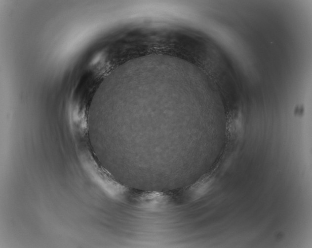X0000111510431200907141340