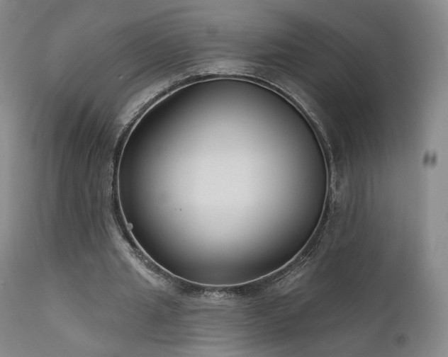 X0000111510437200907141340