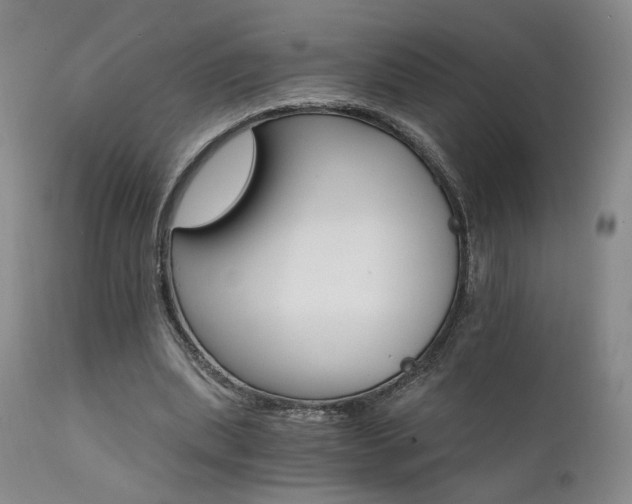 X0000111510439200907141340