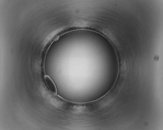X0000111510440200907141340