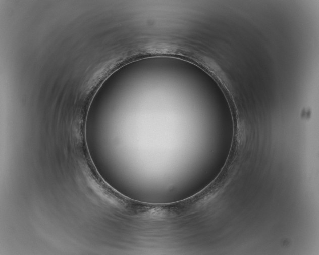 X0000111510441200907141340