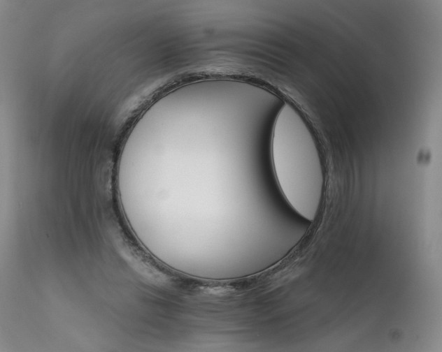 X0000111510446200907141340