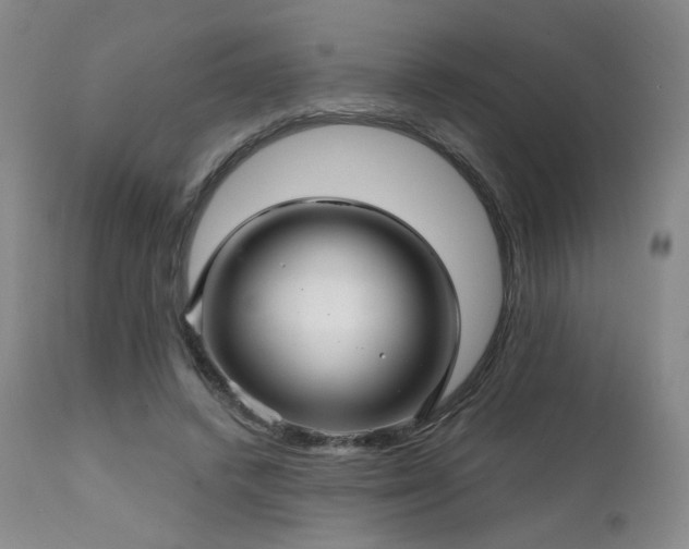 X0000111510448200907141340