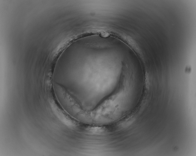 X0000111510449200907141340