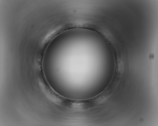 X0000111510450200907141340