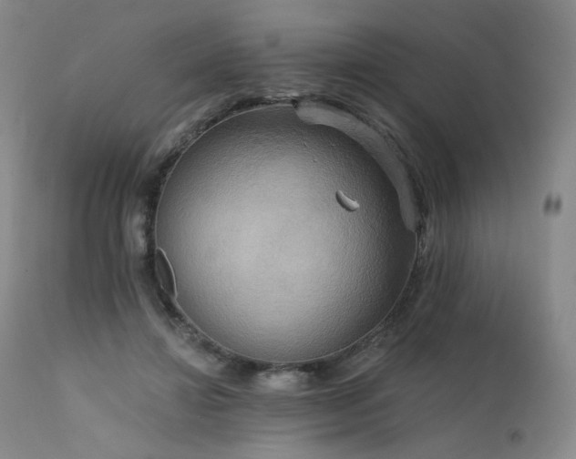 X0000111510452200907141340