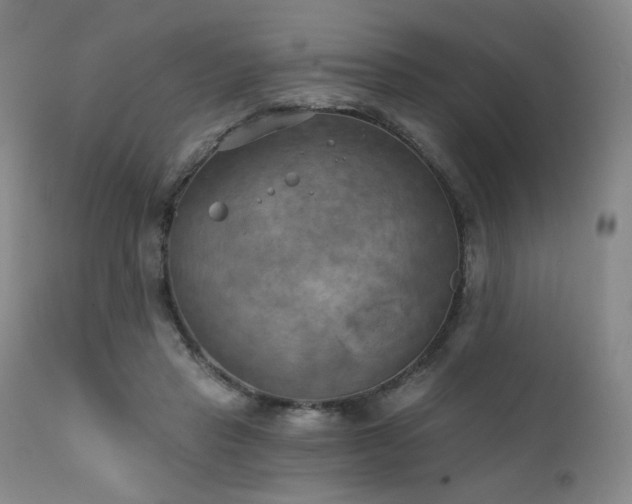 X0000111510453200907141340