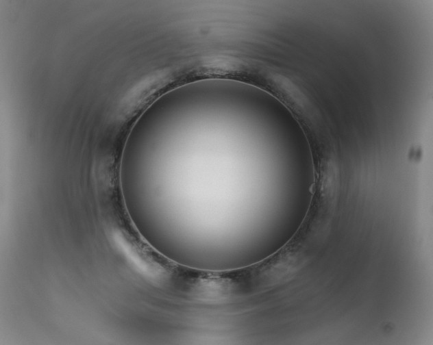 X0000111510455200907141340