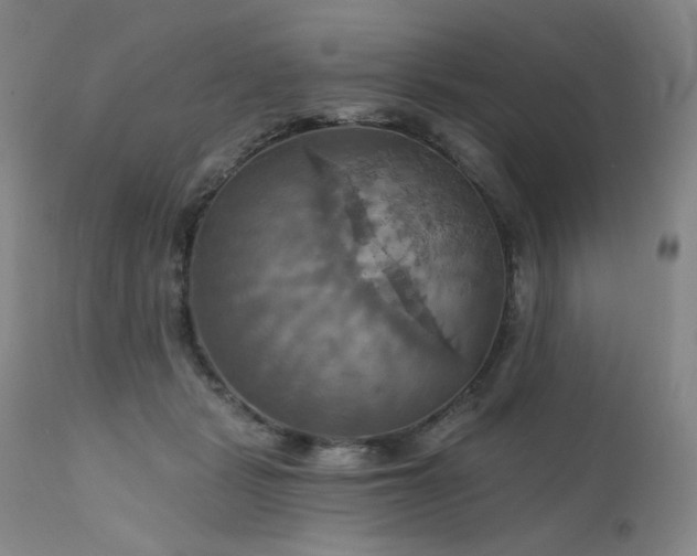 X0000111510461200907141340