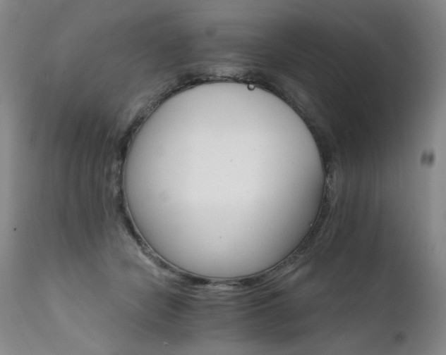 X0000111510462200907141340