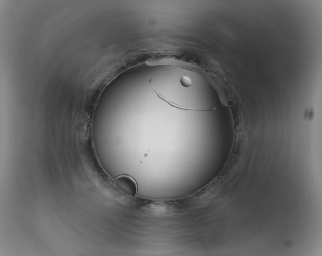 X0000111510464200907141340