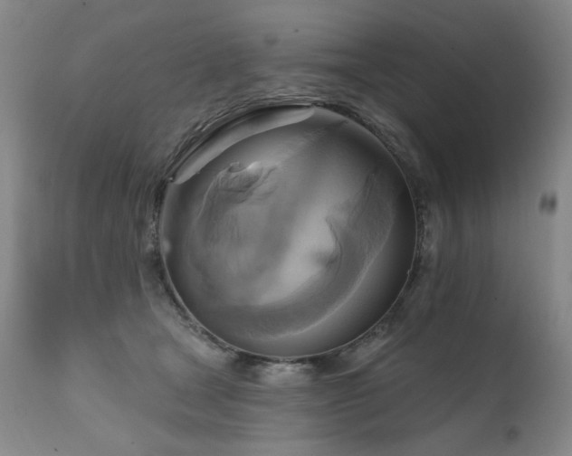 X0000111510465200907141340