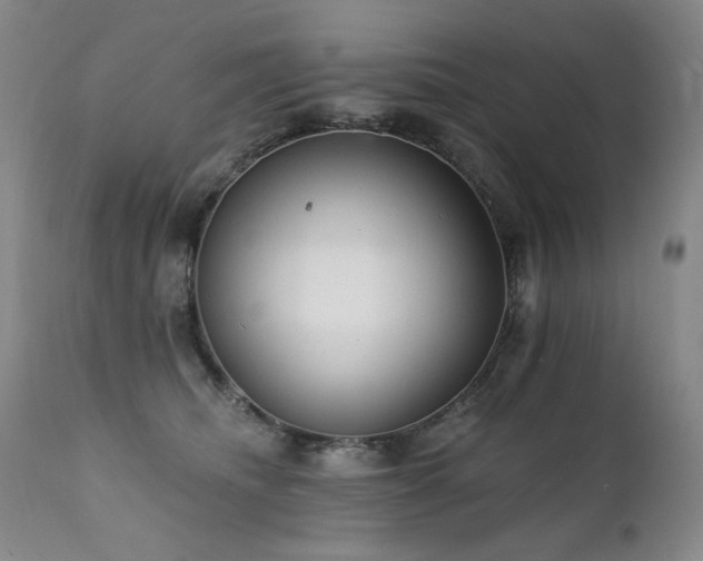 X0000111510468200907141340