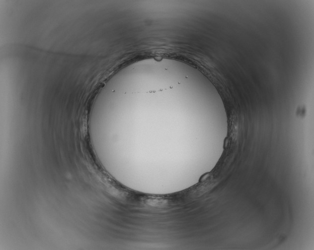 X0000111510471200907141340