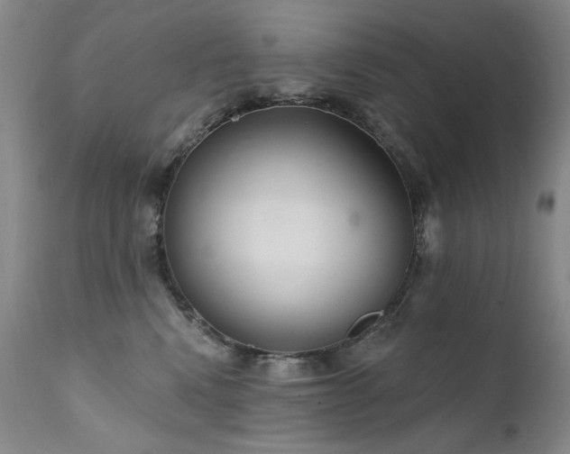 X0000111510472200907141340