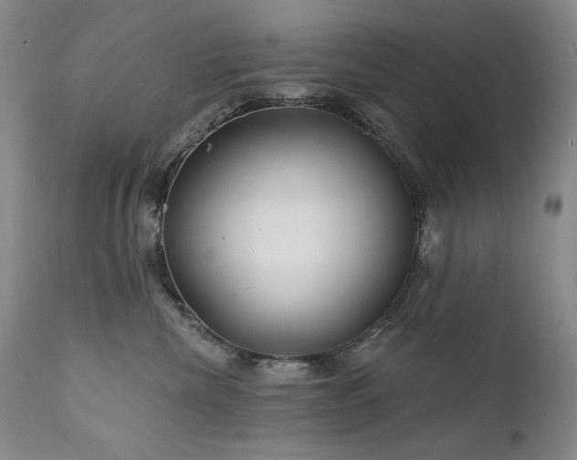 X0000111510476200907141340
