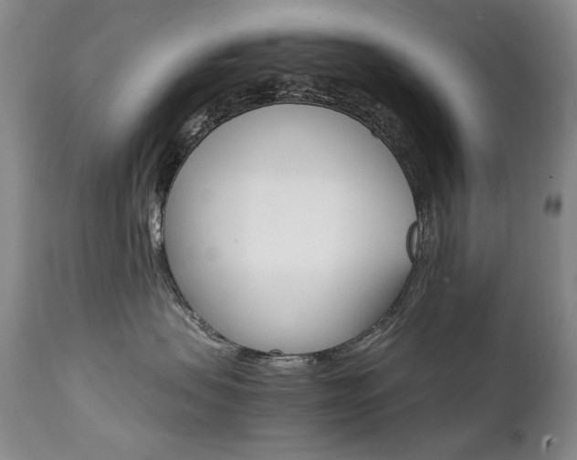 X0000111510479200907141340