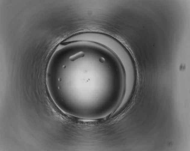 X0000111510481200907141340