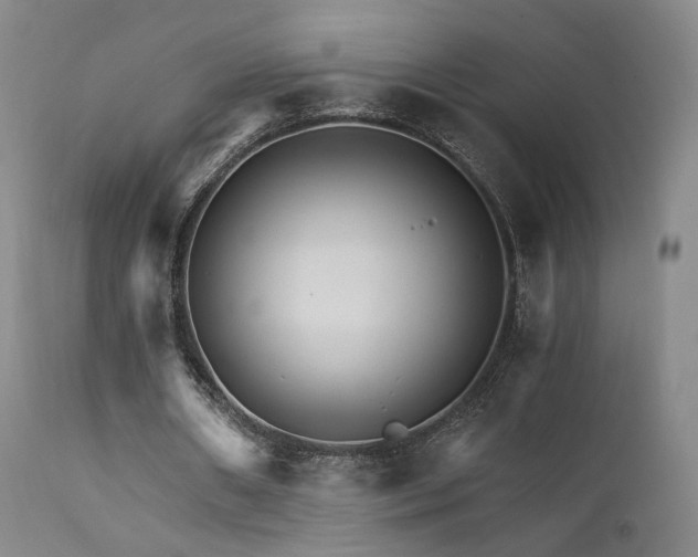 X0000111510482200907141340