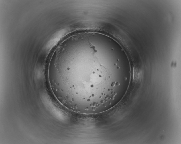 X0000111510483200907141340