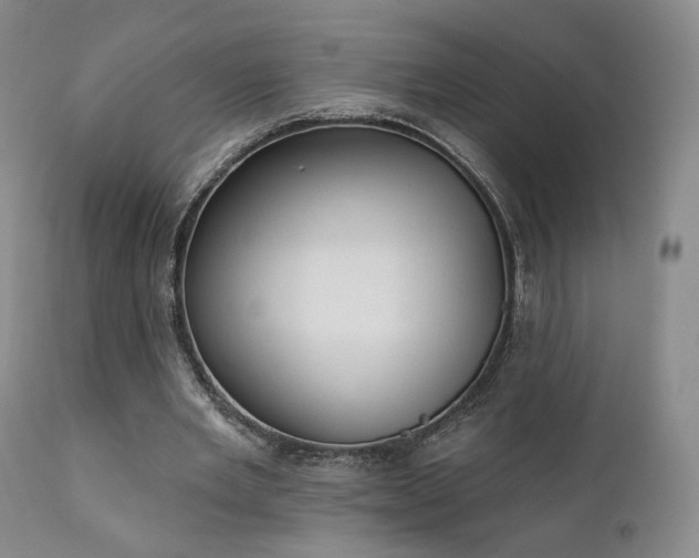 X0000111510485200907141340