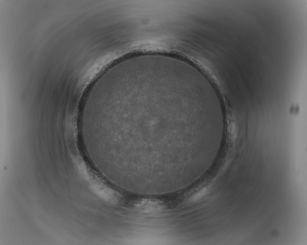 X0000111510487200907141340