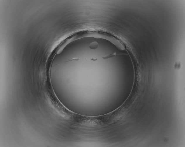 X0000111510488200907141340