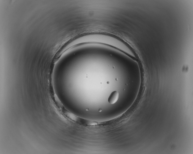 X0000111510489200907141340