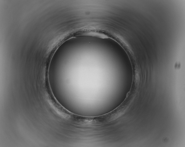 X0000111510493200907141340