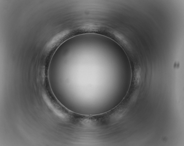 X0000111510494200907141340